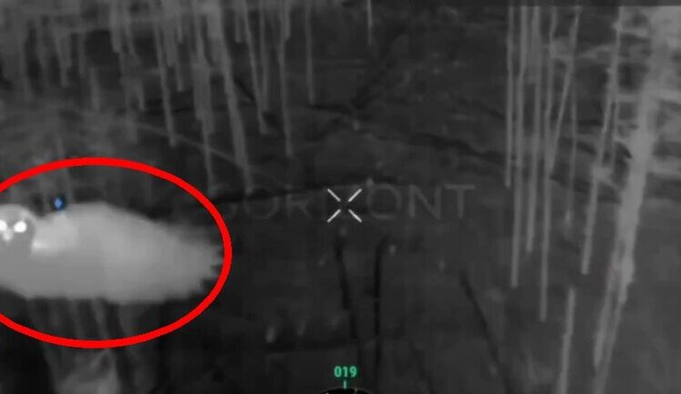 Owl attacks Russian drone and shoots it down. VIDEO