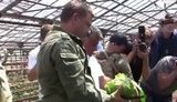 капуста и захар