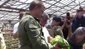 "Планы амбициозные. Будем экспортировать везде. Особенно в Турцию помидоры", - главарь боевиков "ДНР" Захарченко в донецкой теплице. ВИДЕО
