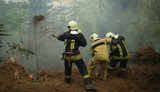 На Закарпатті пожежу могли влаштувати завербовані росіянами місцеві жителі