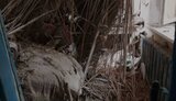 херсон