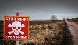 Японська компанія хоче передати Україні безпілотники для пошуку мін