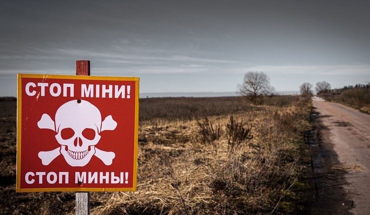 Україна втратила понад 20% сільгоспземель після початку повномасштабної війни, – Мінагрополітики