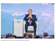 В штабе Путина перестарались со сбором подписей 
