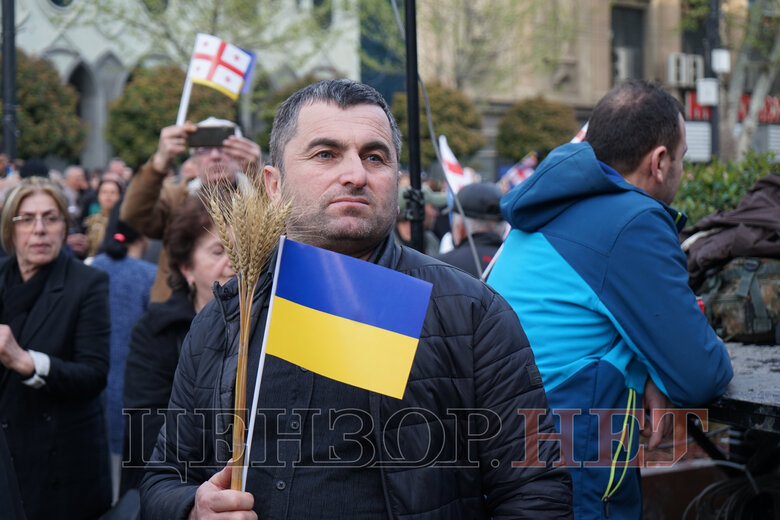Іншого шансу у Грузії може не бути. Чому грузини хочуть, але не можуть об’єднатися? 06