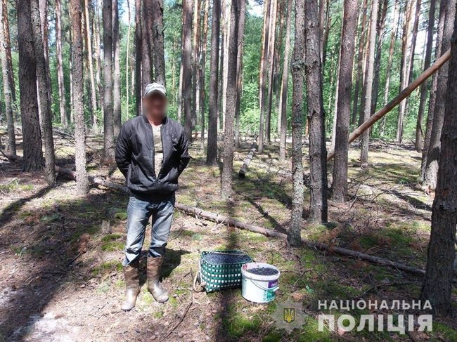 Із Зони відчуження намагалися вивезти 300 кг радіоактивних ягід, - Нацполіція 01