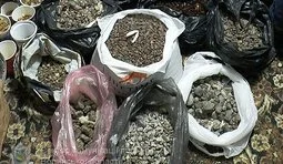 луцк янтарь