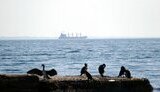 Морское перемирие еще не работает. В ВМС объяснили, почему