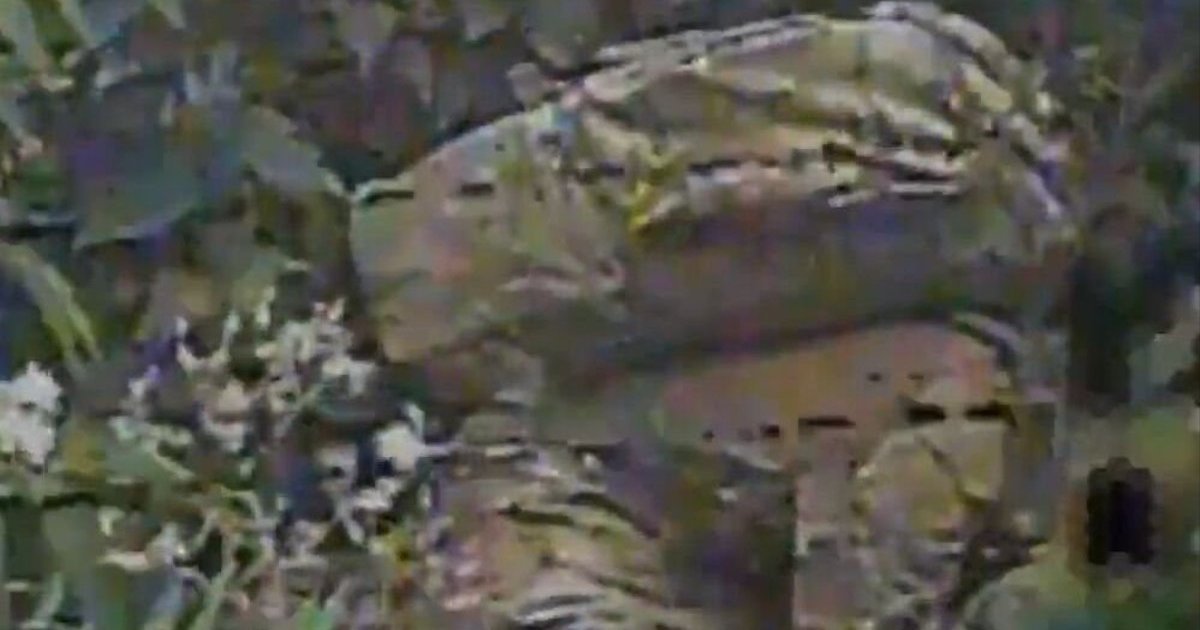 Пілоти 414-ї бригади «Птахи Мадяра» ліквідували сплячого окупанта у хащах. ВІДЕО