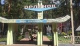 Borshch, oats, cooks’ dirty hands: experts name causes of dysentery outbreak at Donetsk region-based summer camp. PHOTOS
