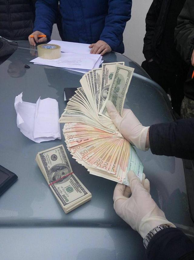 10 осіб затримали на Рівненщині щодо лісової справи, - Аваков 01