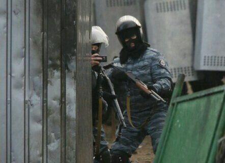 фото беркут