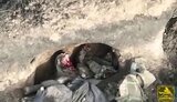 граната
