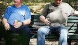 Братья Кличко разжирели и потеряли форму. ВИДЕО.
