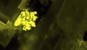 Russia’s advanced command post in Kherson region’s TOT is hit, - DIU. VIDEO
