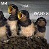 Адэсса Адэсса