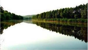 Період повного розпаду хімікатів, які потрапили в Рось, - три доби. Не існує жодної небезпеки для жителів басейну річки, - Український гідрометеорологічний інститут