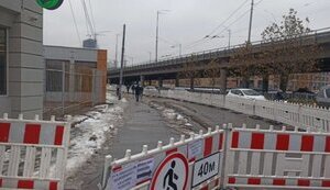 деміївська