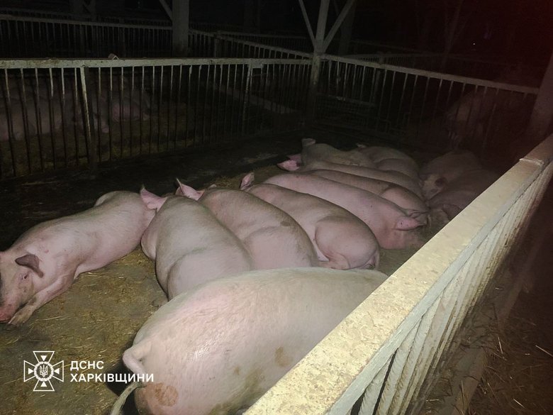 Нічна атака БпЛА на Харківщині: знищено ферму в Москалівці