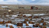 Через кліматичні зміни Росія втратить щонайменше 5 трильйонів рублів