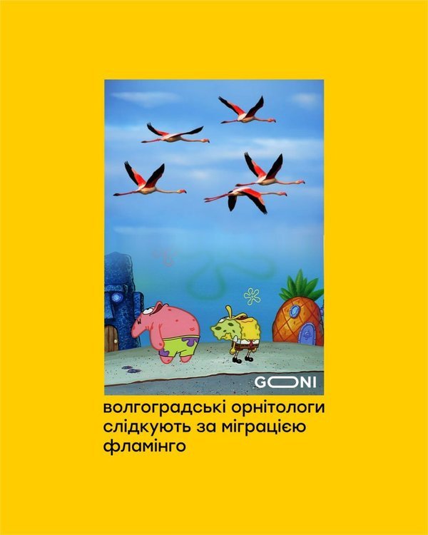 фотожаба