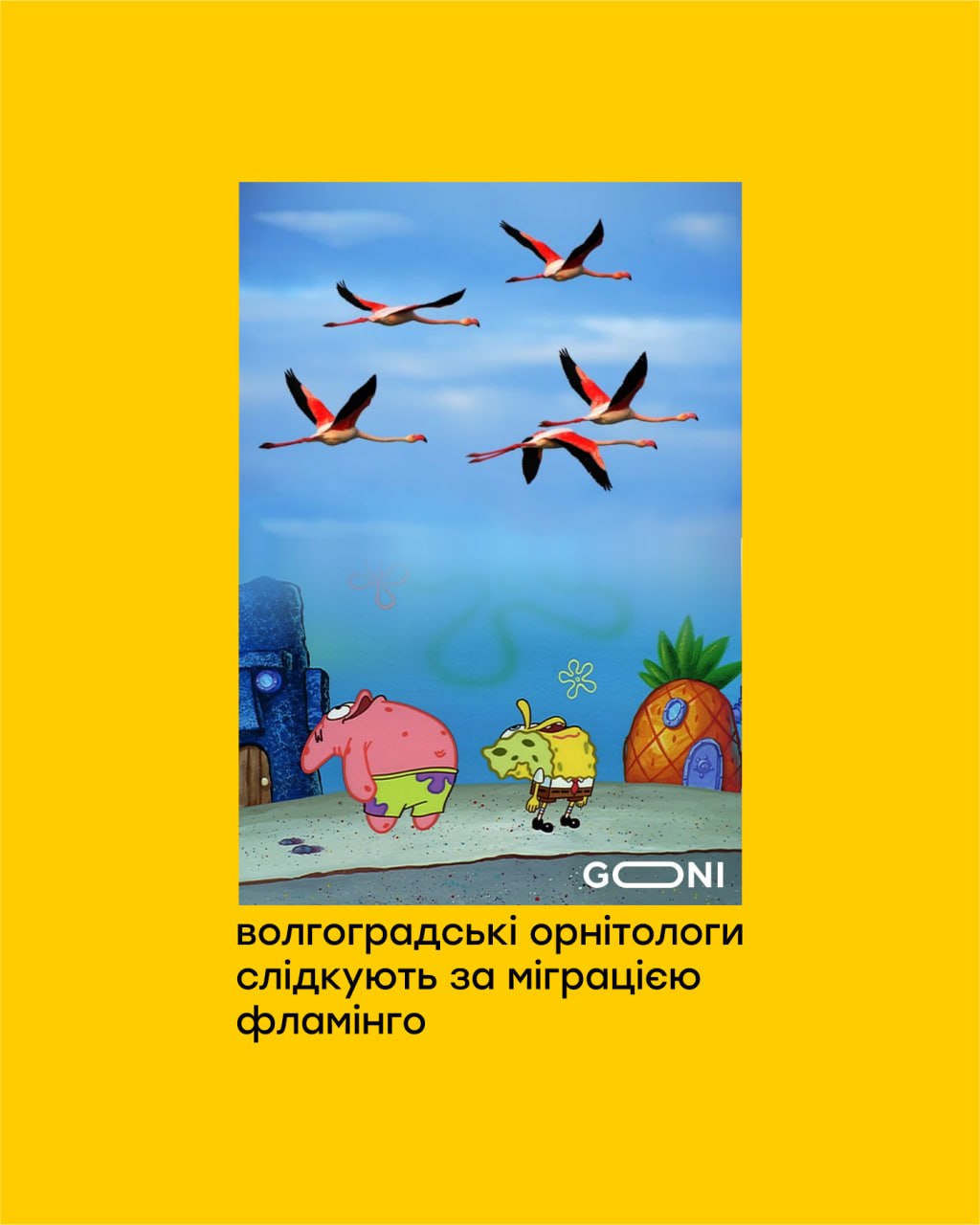 У світі тварин