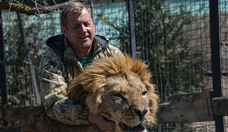 На кримського зрадника Зубкова, який викрадав тварин із ТОТ України, напав лев: він у тяжкому стані. ВIДЕО