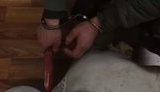 Полиция задержала подозреваемых в убийстве фермера и его семьи на Донетчине. ВИДЕО