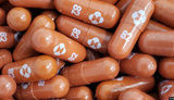 merck