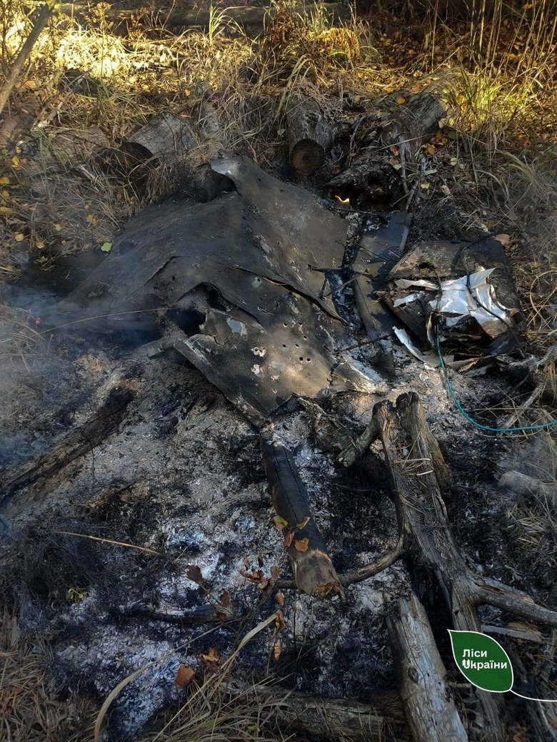 Forest fires in Ukraine – 87 per cent of the area burnt this week was caused by Russian attacks