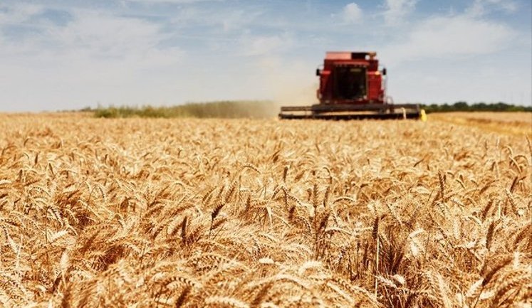 Клімат змінює аграрну карту України: нові лідери виробництва. ІНФОГРАФІКА