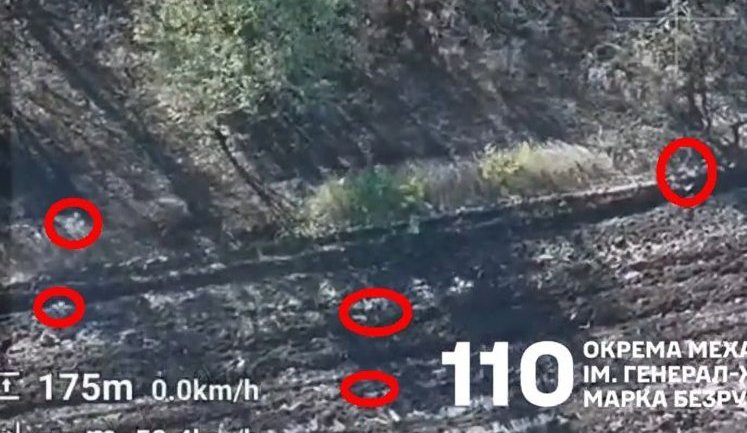 Swarm of kamikaze drones searches for surviving occupiers in woods. VIDEO