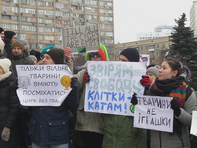 Страждання - це НЕ смішно! У Києві протестували проти використання тварин у цирку 21
