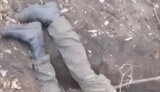 окупант