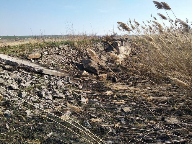 Цензор.НЕТ Изображение