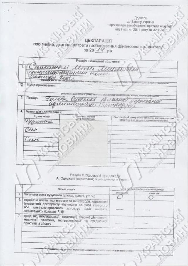 саакашвили декларация