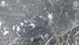 Кот поедает то, что осталось от обгоревшего российского захватчика. ВИДЕО