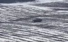 ЗСУ давлять ворога бронею