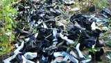 В лесу под Киевом нашли огромную кучу новой женской обуви. ФОТОрепортаж