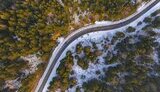 Карпати за останні 20 років втратили 10% лісів