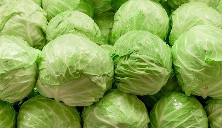 Капуста в Україні за рік подешевшала на 78%