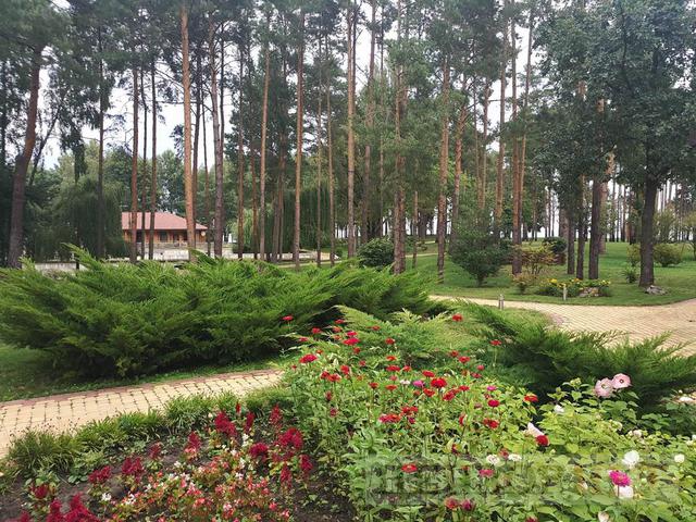 Hunting home of fugitive president Yanukovych: trophy from Lukashenko and guards shooting club 33