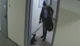 У Києві розшукують собаку, якого бив господар. ВIДЕО
