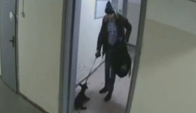У Києві розшукують собаку, якого бив господар. ВIДЕО