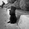 Роман Клюковский