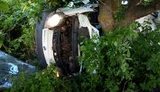 Мікроавтобус на Миколаївщині вилетів із траси і врізався в дерево: п