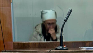 Chernivtsi "blogger" sentenced to 5 years in prison for disclosing data on Armed Forces of Ukraine - SSU. PHOTO