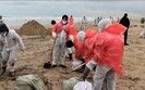 Мазут у Криму збирають волонтери