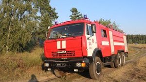 20 гектарів лісу горить на Херсонщині, - ДСНС