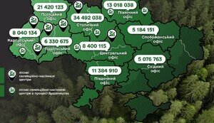 ліс
